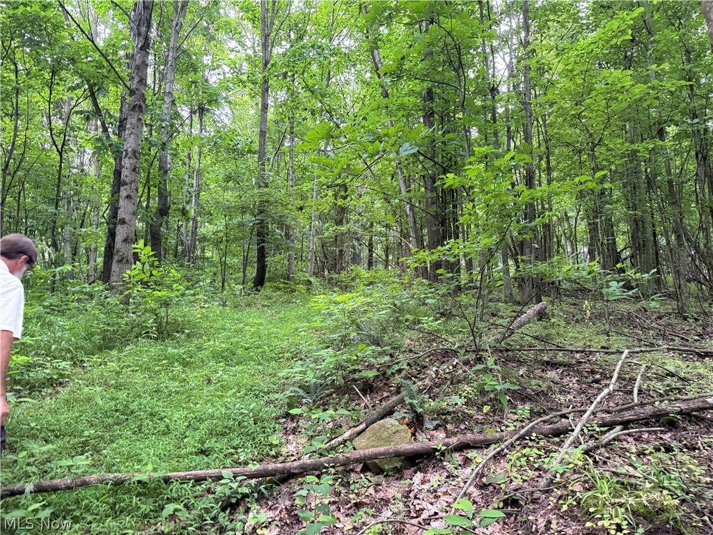 Marlott Run Road Newcomerstown OH 43983