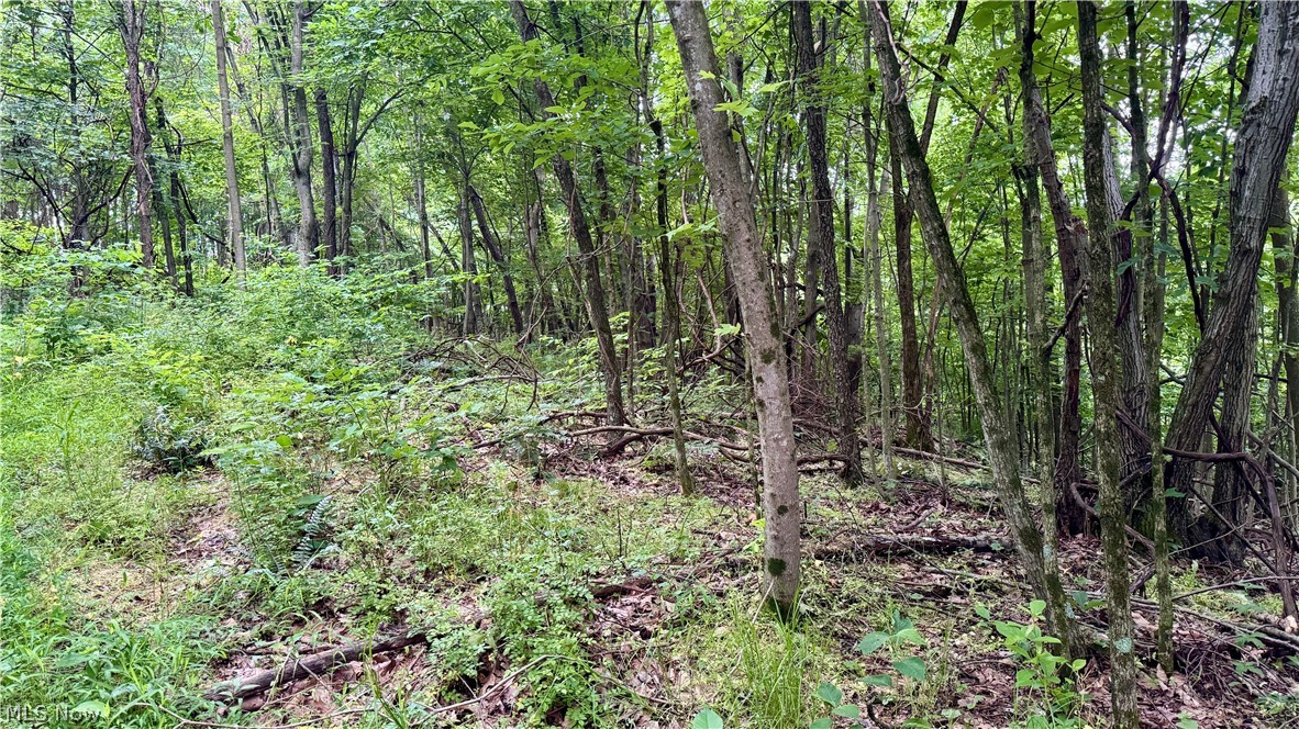 Marlott Run Road Newcomerstown OH 43983