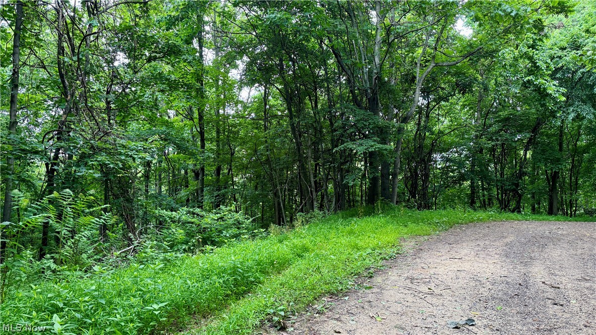 Marlott Run Road Newcomerstown OH 43983