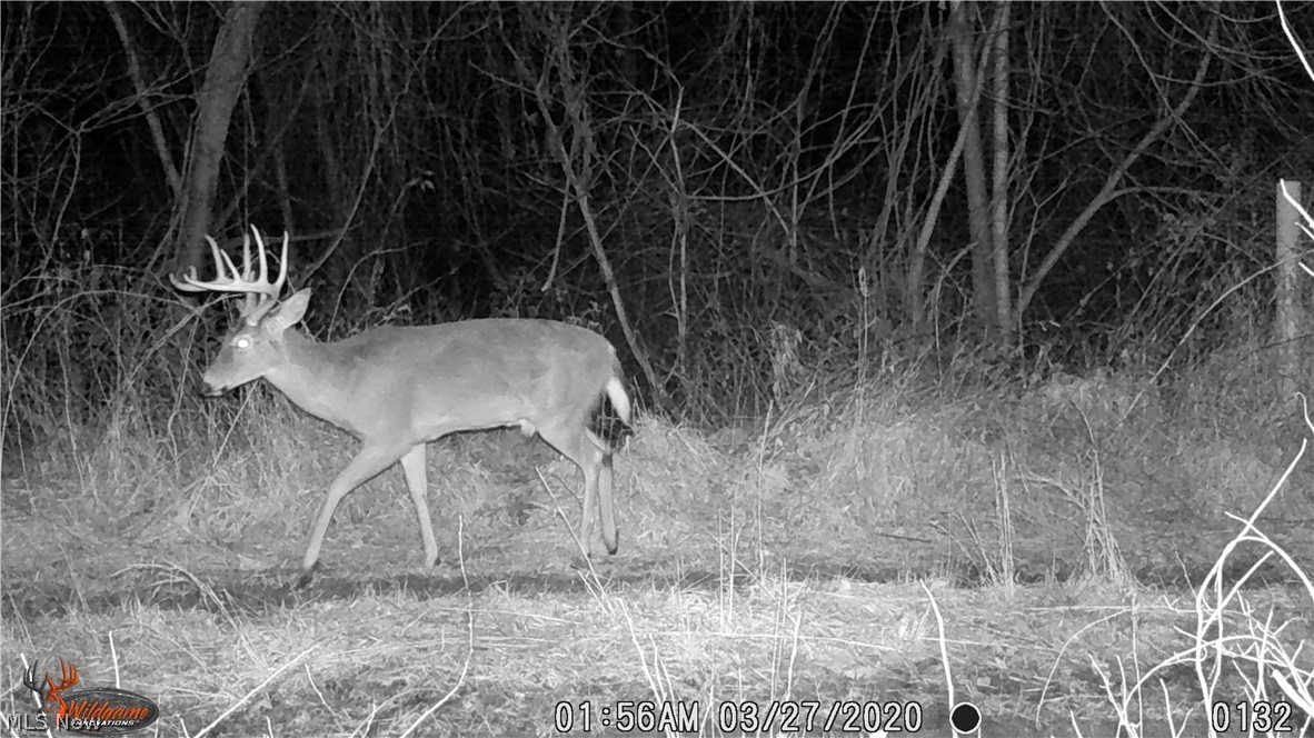 Marlott Run Road Newcomerstown OH 43983