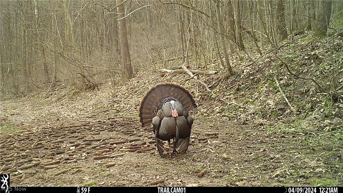 Marlott Run Road Newcomerstown OH 43983