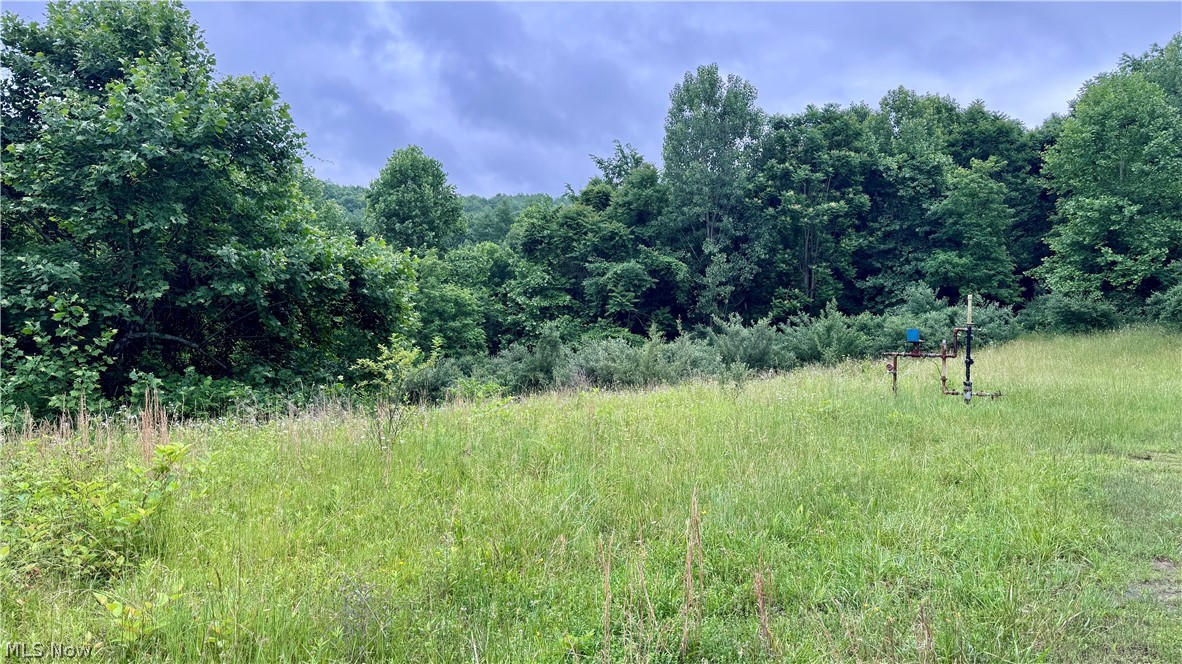 Marlott Run Road Newcomerstown OH 43983