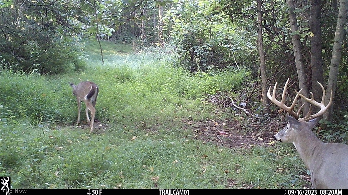 Marlott Run Road Newcomerstown OH 43983