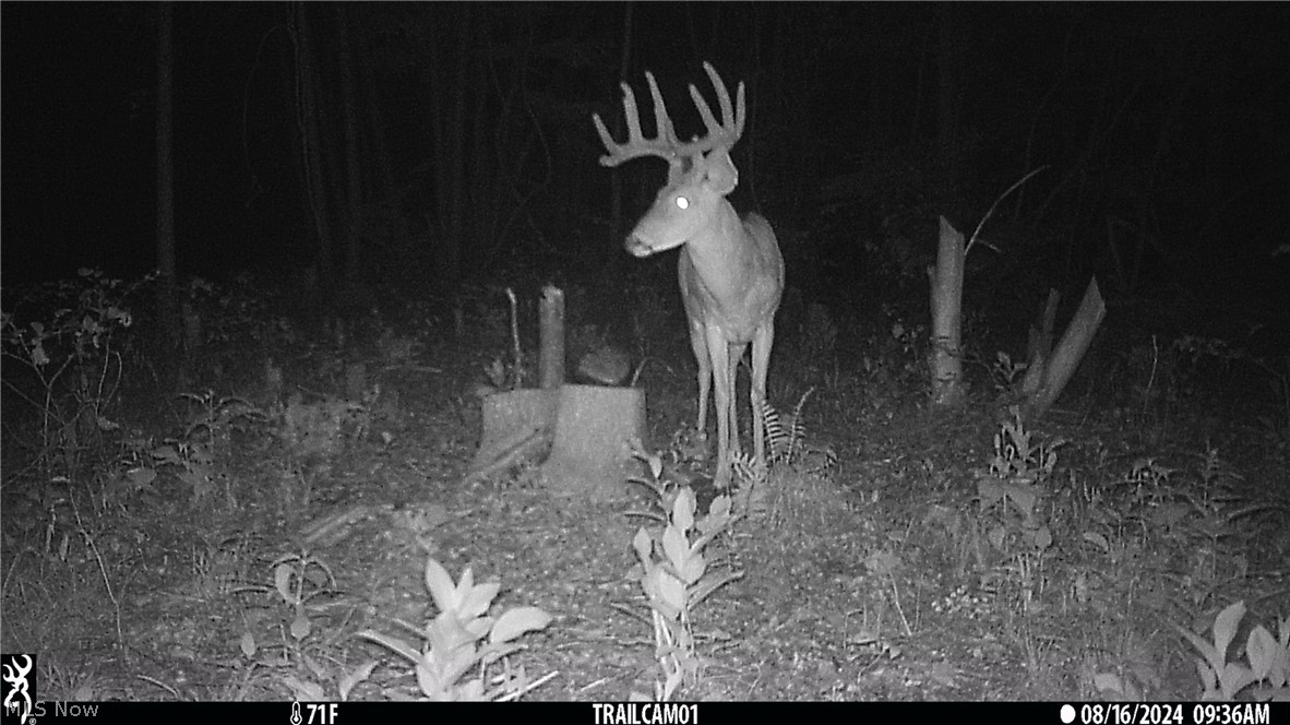 Marlott Run Road Newcomerstown OH 43983