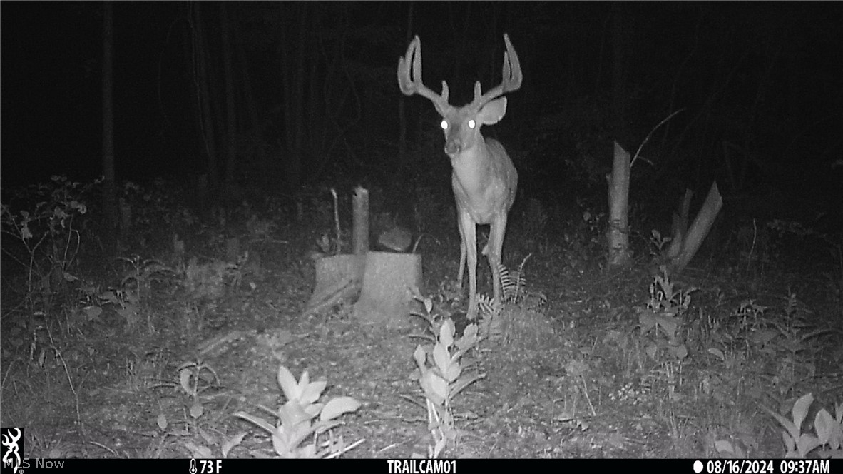 Marlott Run Road Newcomerstown OH 43983