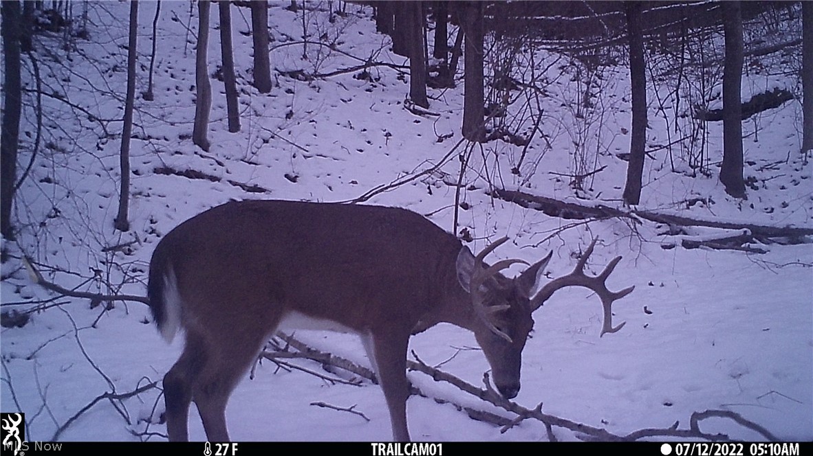 Marlott Run Road Newcomerstown OH 43983