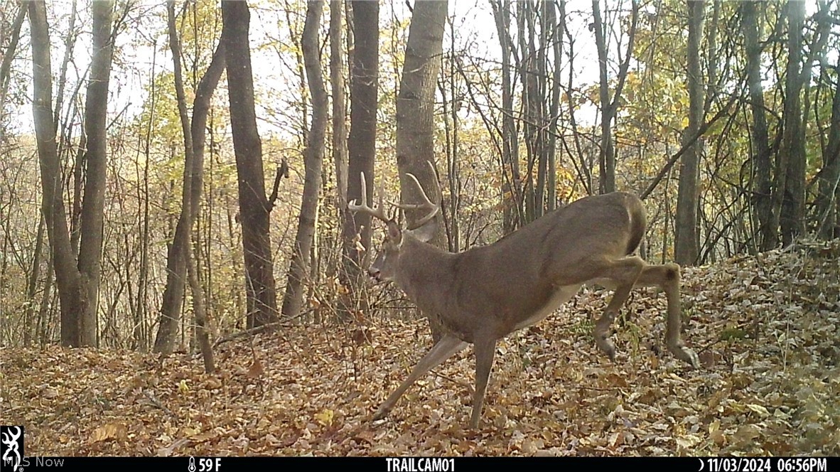 Marlott Run Road Newcomerstown OH 43983