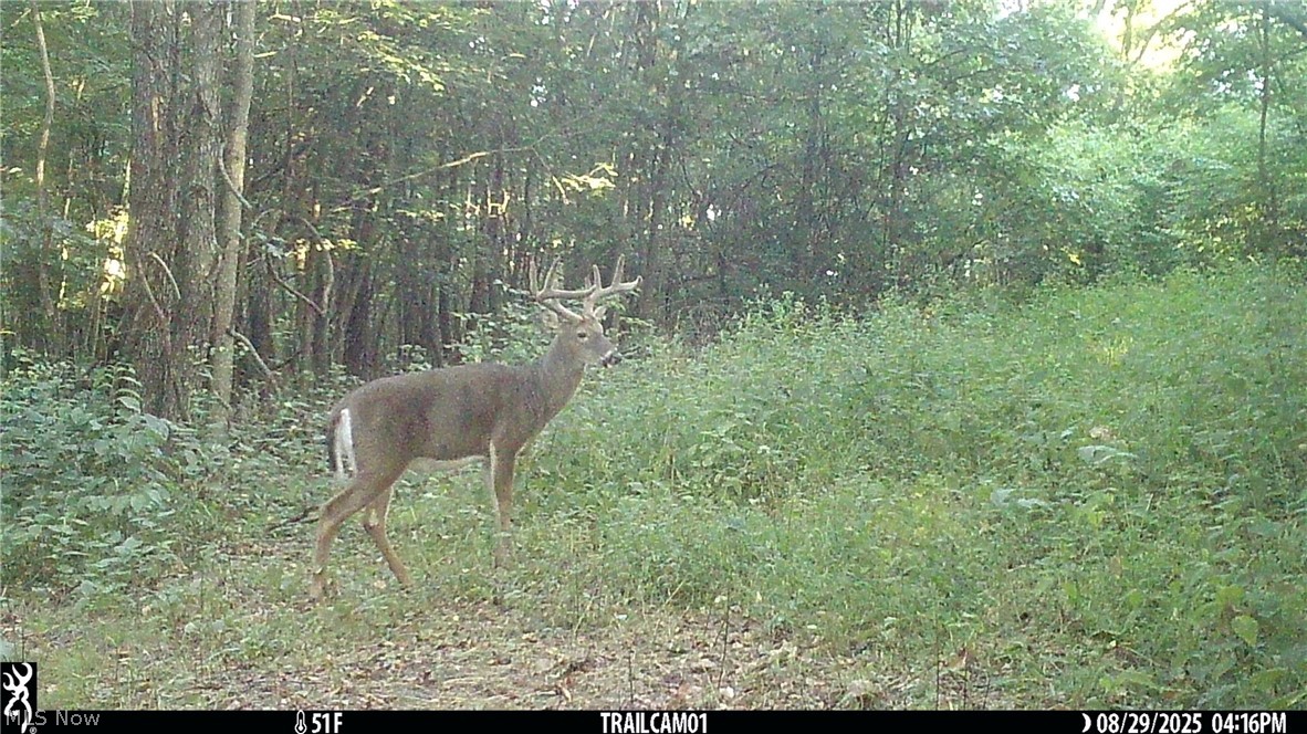 Marlott Run Road Newcomerstown OH 43983