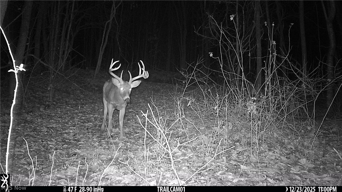 Marlott Run Road Newcomerstown OH 43983