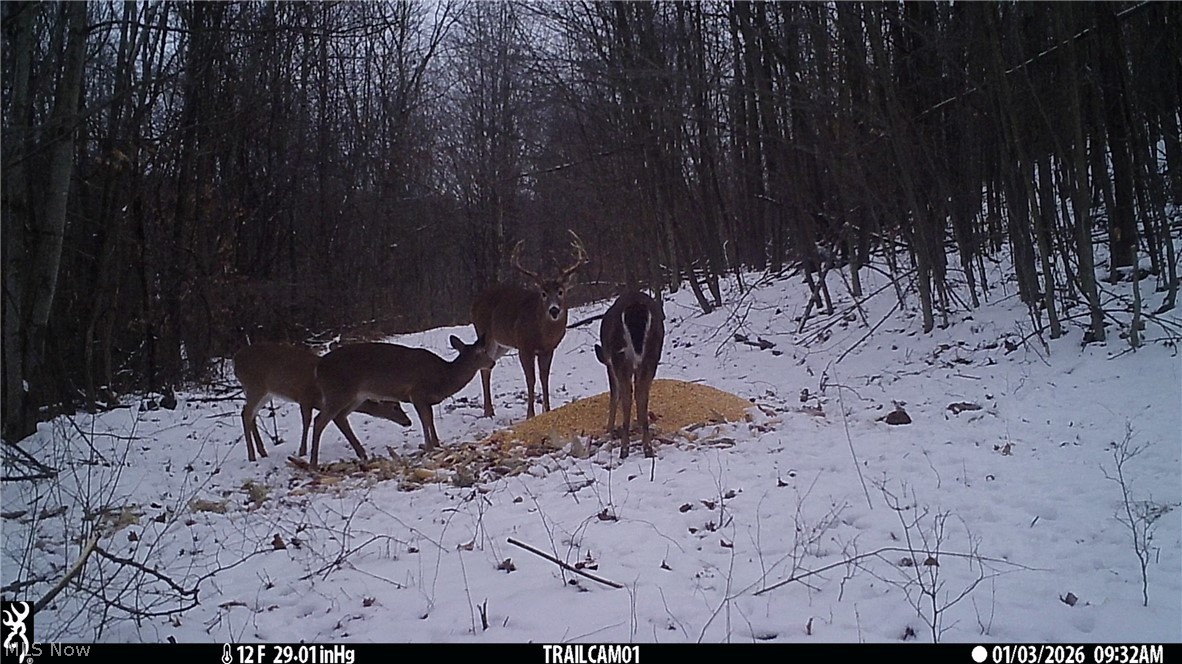 Marlott Run Road Newcomerstown OH 43983