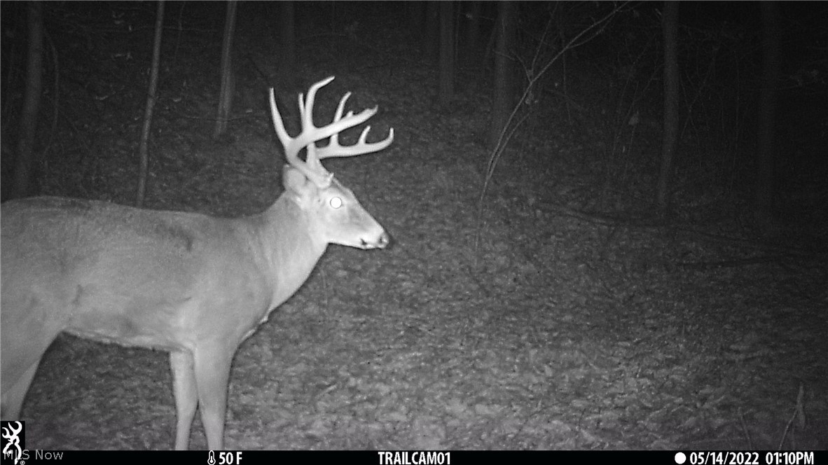 Marlott Run Road Newcomerstown OH 43983