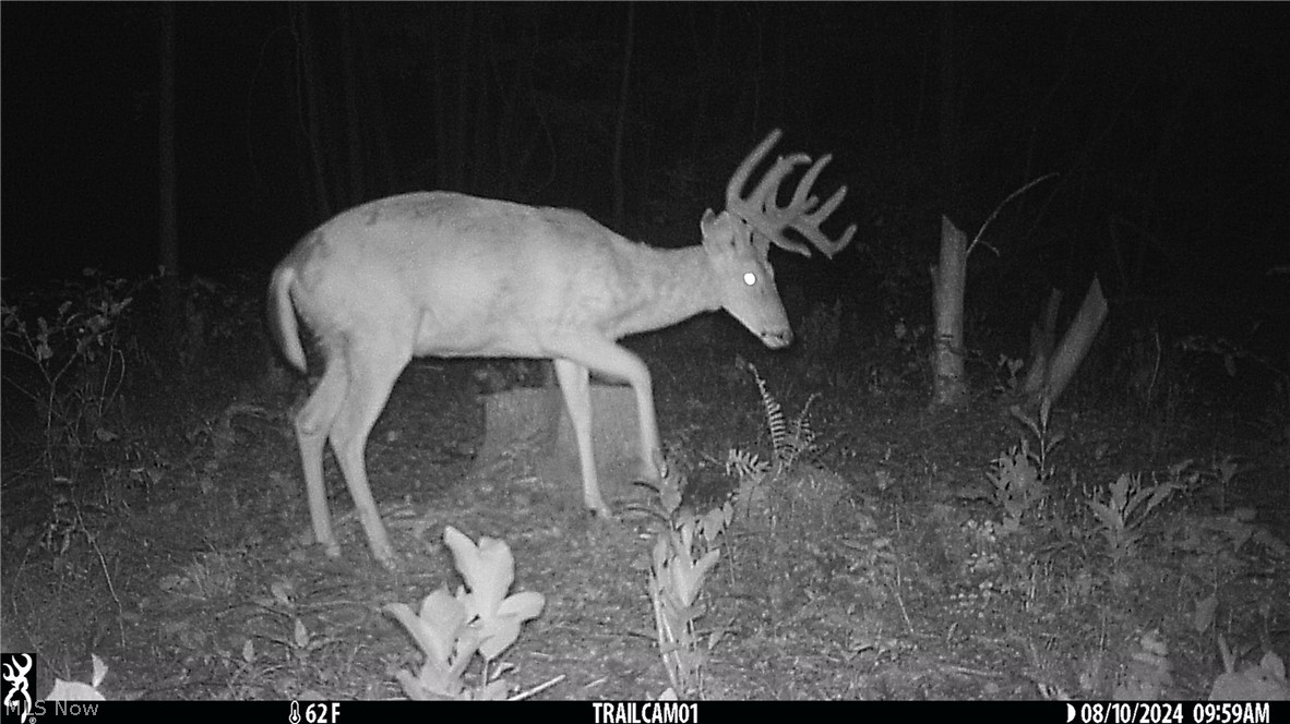 Marlott Run Road Newcomerstown OH 43983