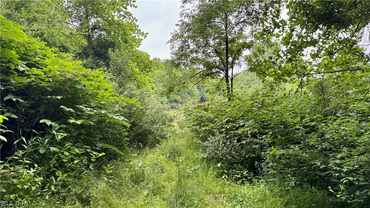 Marlott Run Road Newcomerstown OH 43983
