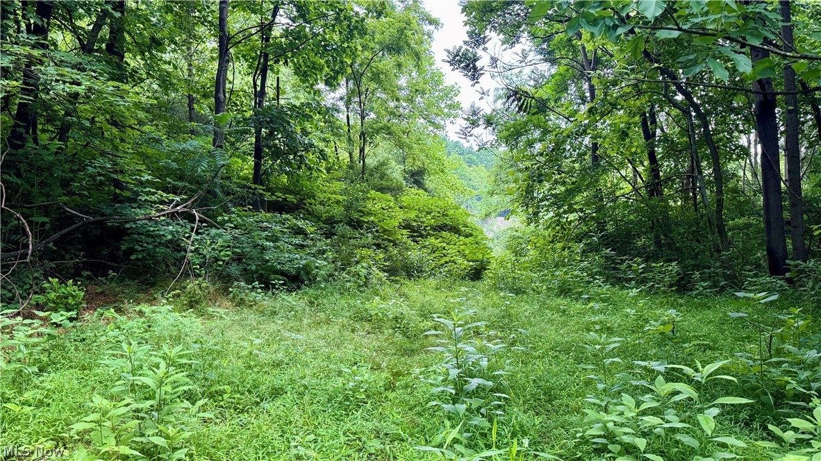 Marlott Run Road Newcomerstown OH 43983