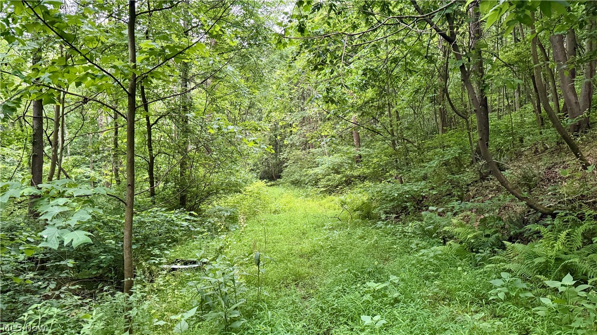 Marlott Run Road Newcomerstown OH 43983