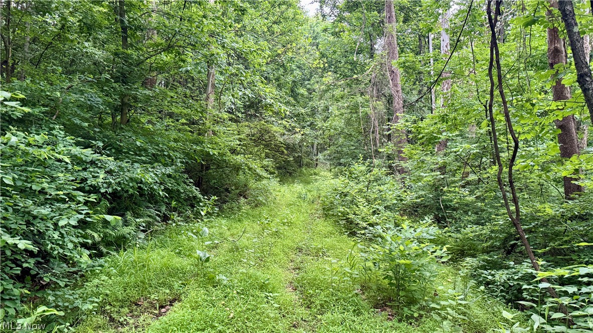 Marlott Run Road Newcomerstown OH 43983