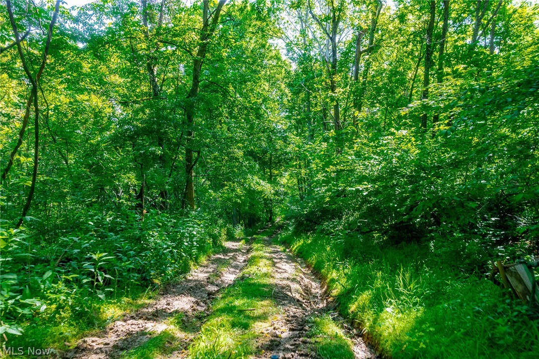 5568 Schoolhouse Road Frazeysburg OH 43822
