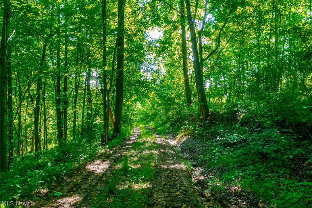5568 Schoolhouse Road Frazeysburg OH 43822