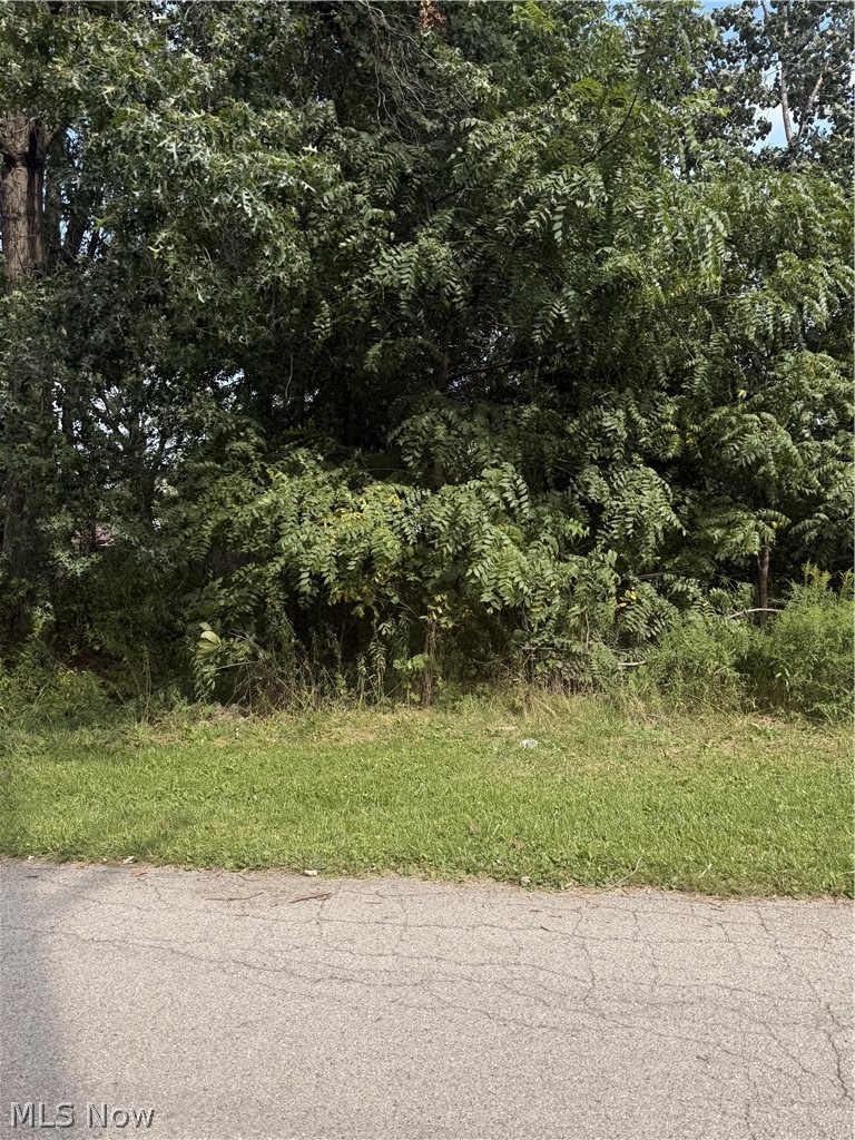 Garfield Niles OH 44446