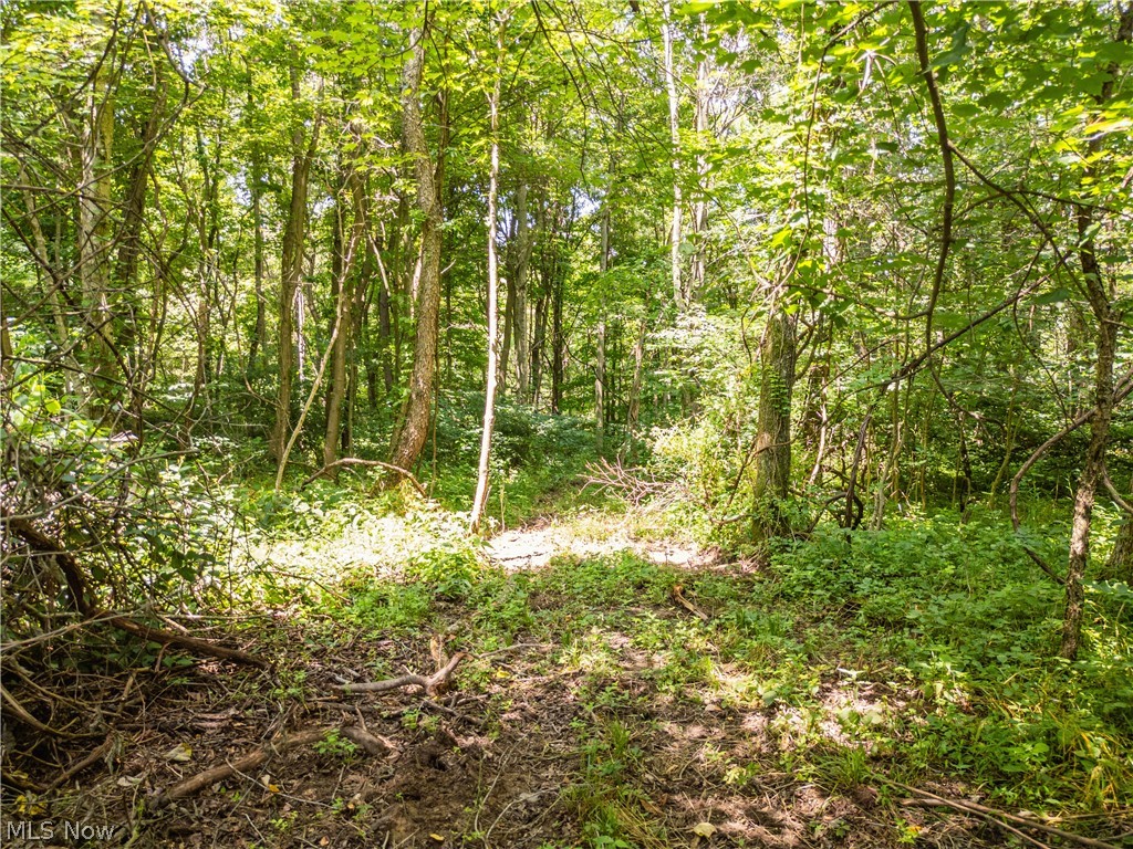 Lot 4 Township Road 51 Somerset OH 43783