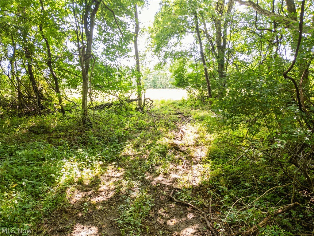 Lot 4 Township Road 51 Somerset OH 43783