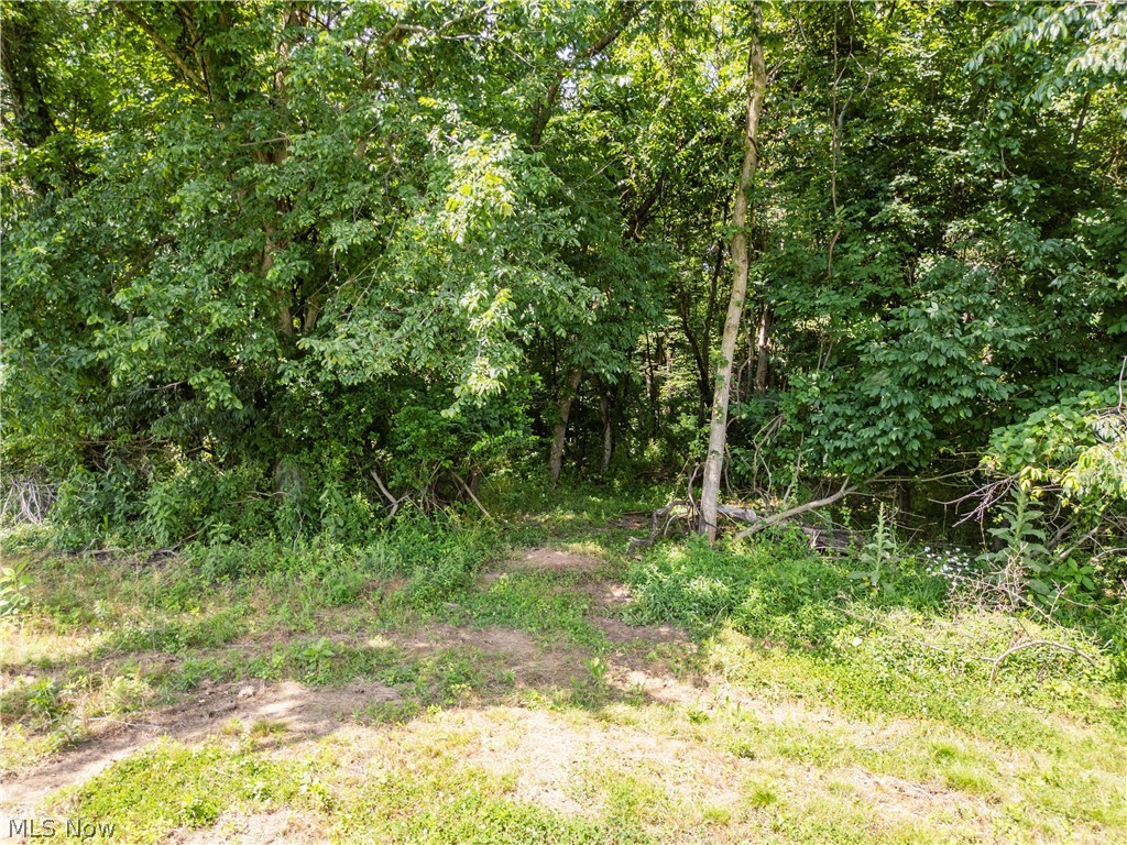 Lot 4 Township Road 51 Somerset OH 43783