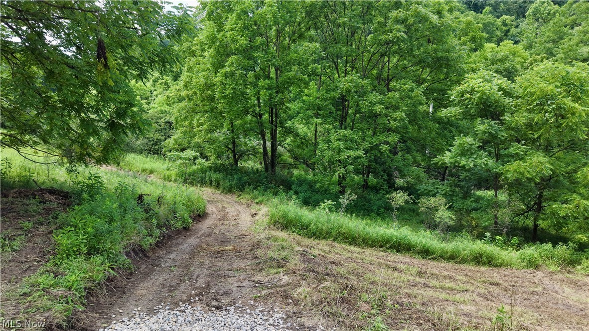 0 Temperanceville Highway Barnesville OH 43713
