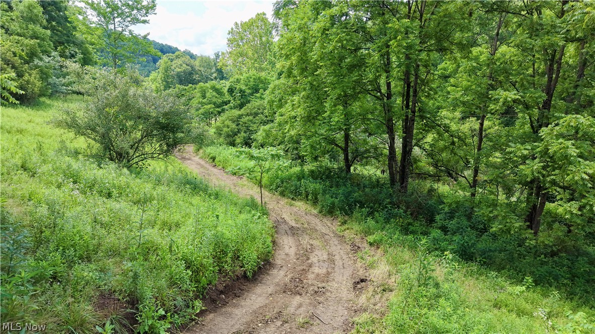 0 Temperanceville Highway Barnesville OH 43713