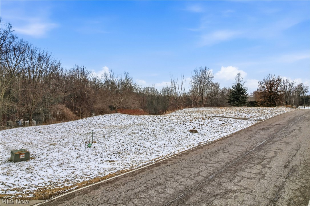 Brookhollow Drive Warren OH 44481