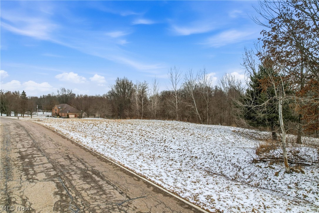 Brookhollow Drive Warren OH 44481