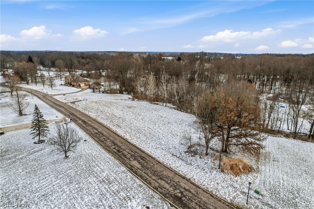 Brookhollow Drive Warren OH 44481