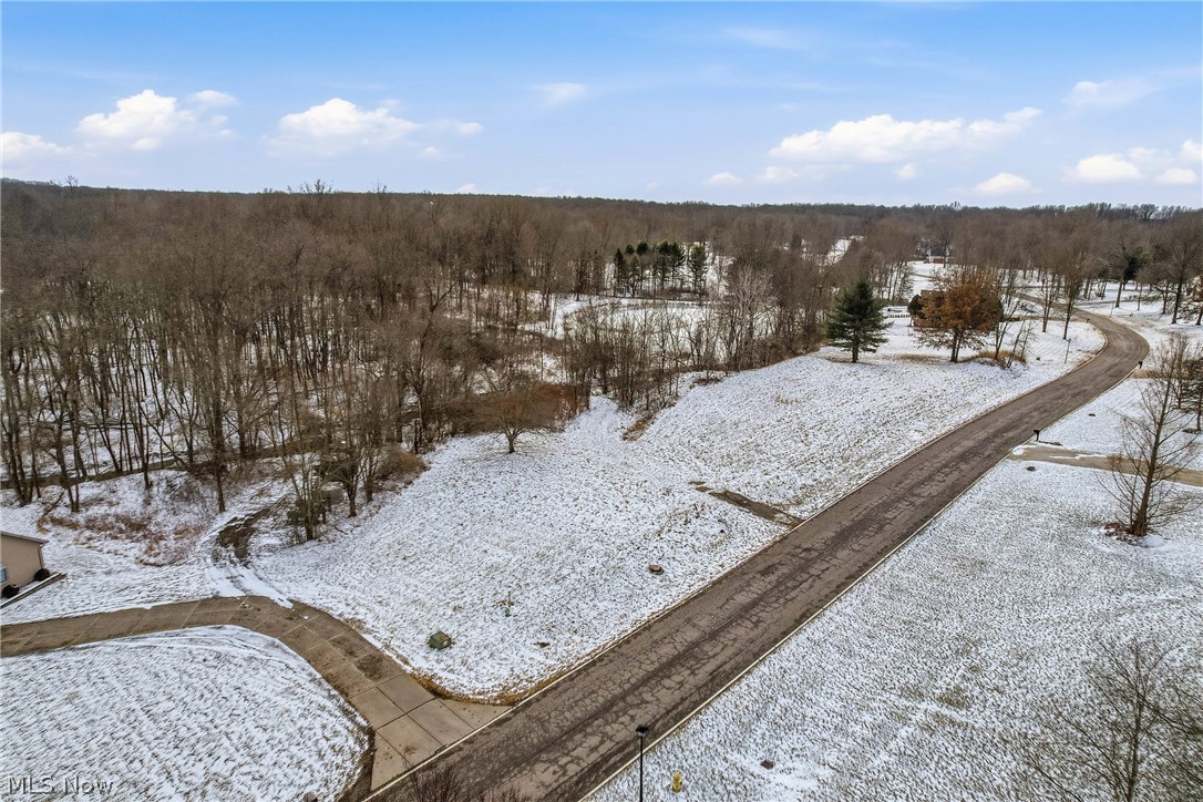 Brookhollow Drive Warren OH 44481
