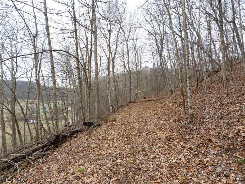 Sarchets Run Road Cambridge OH 43725