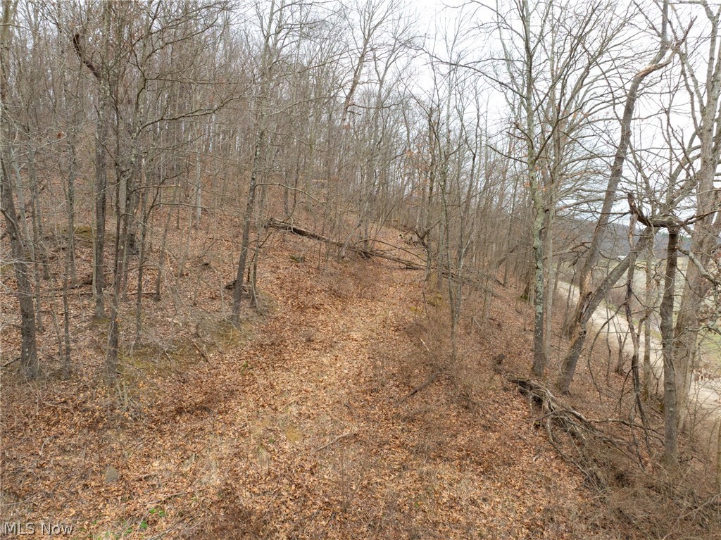 Sarchets Run Road Cambridge OH 43725
