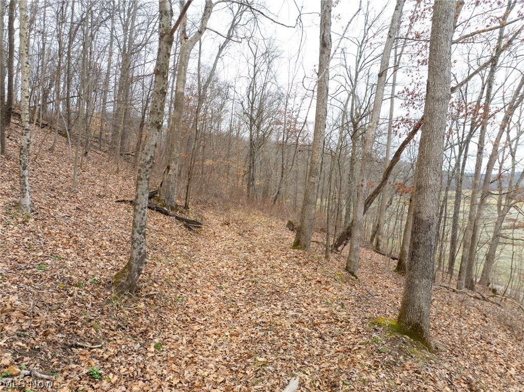 Sarchets Run Road Cambridge OH 43725