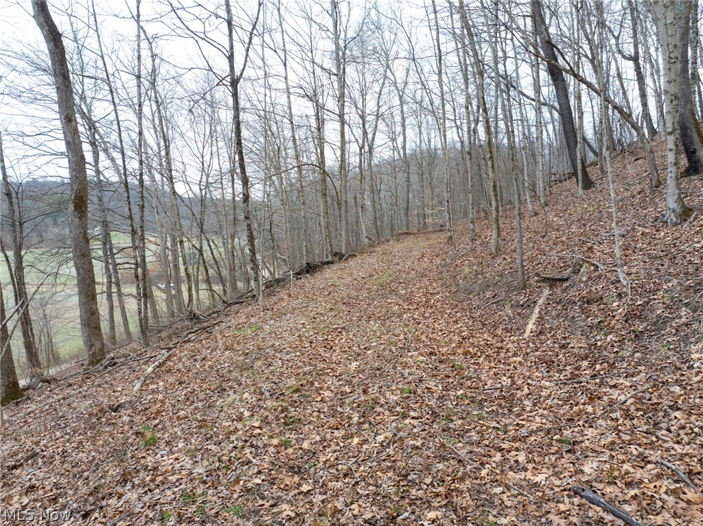 Sarchets Run Road Cambridge OH 43725