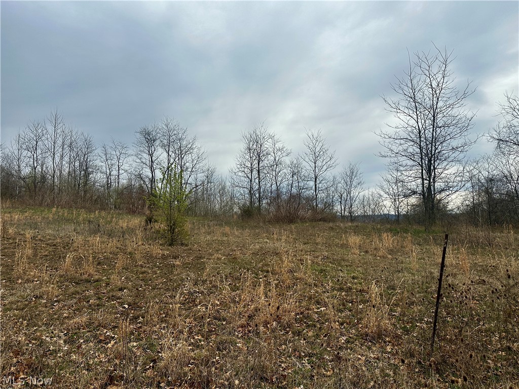 35840 Swan Road Long Bottom OH 45743
