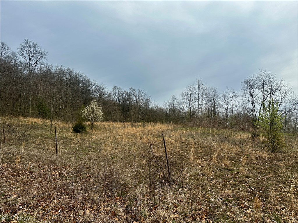 35840 Swan Road Long Bottom OH 45743