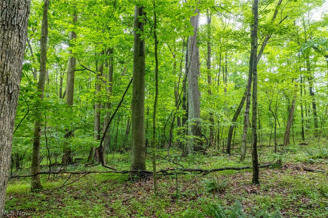 Miller Hill Road Sherrodsville OH 44678
