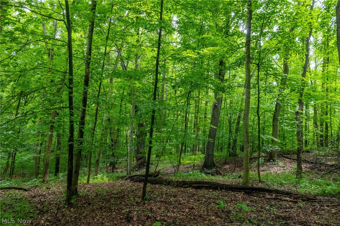 Miller Hill Road Sherrodsville OH 44678