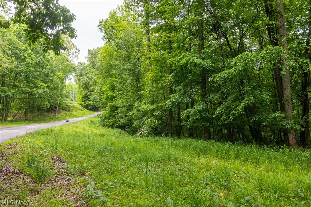 Miller Hill Road Sherrodsville OH 44678