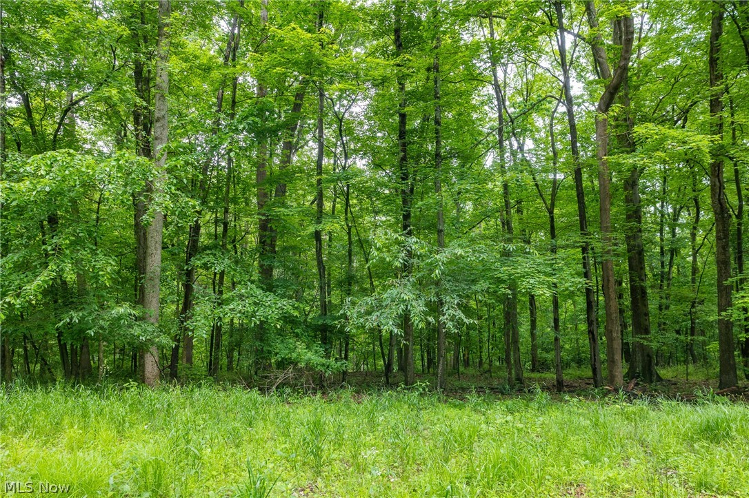 Miller Hill Road Sherrodsville OH 44678
