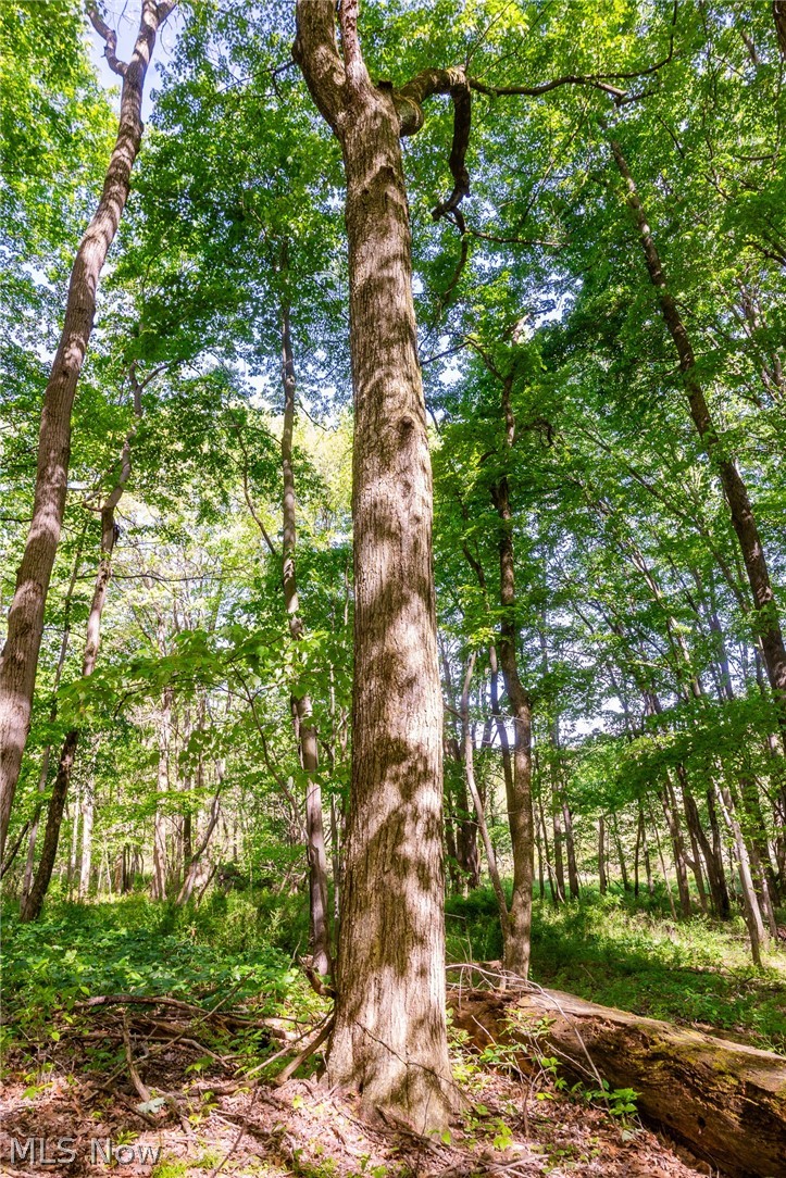 11154 Shetler Avenue SW Bolivar OH 44612