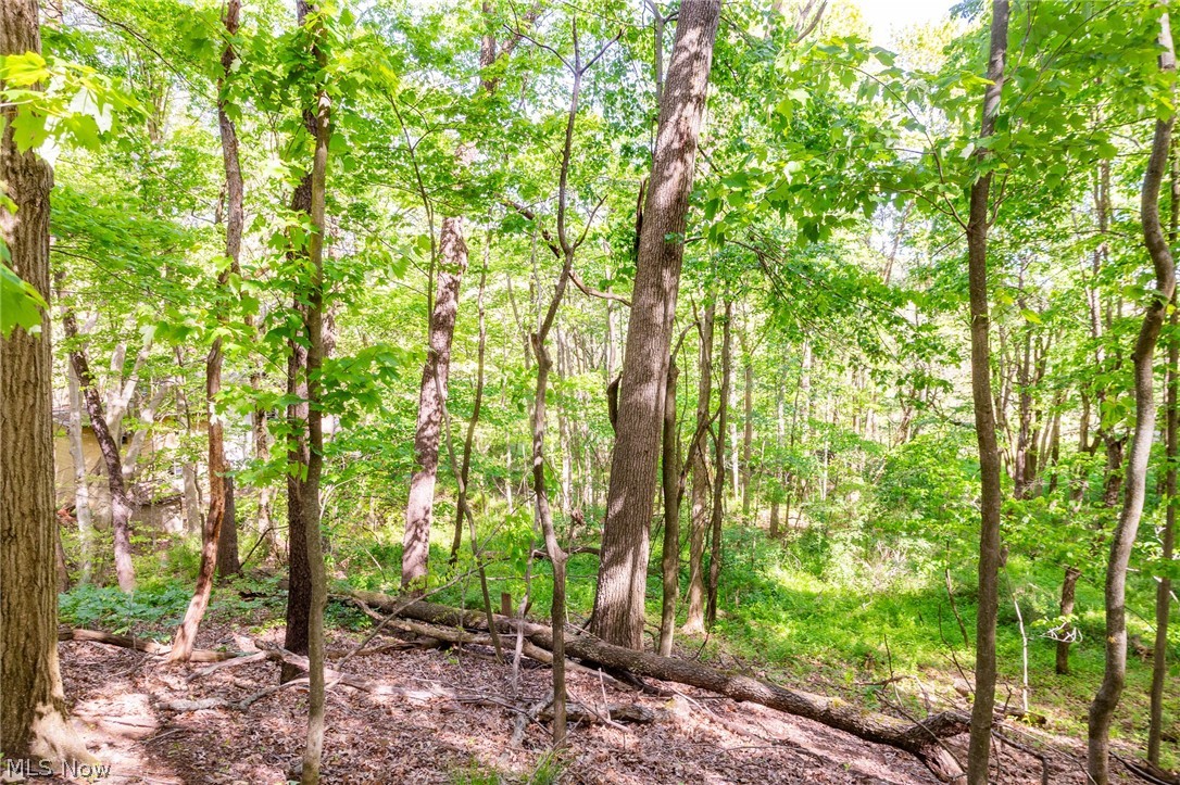 11154 Shetler Avenue SW Bolivar OH 44612