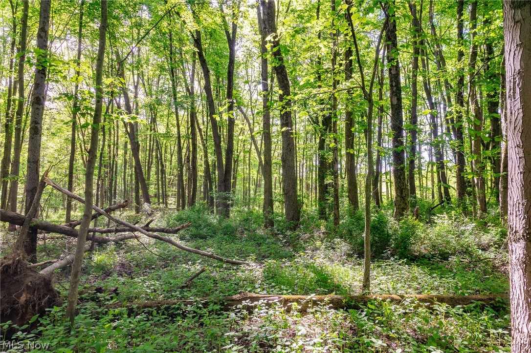 11154 Shetler Avenue SW Bolivar OH 44612