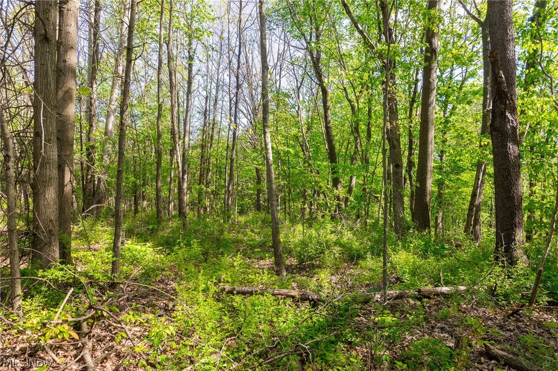 11154 Shetler Avenue SW Bolivar OH 44612