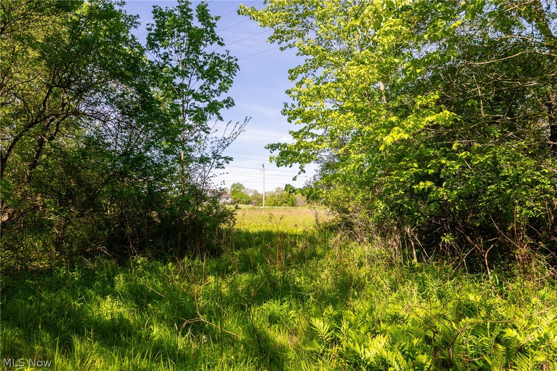 11154 Shetler Avenue SW Bolivar OH 44612