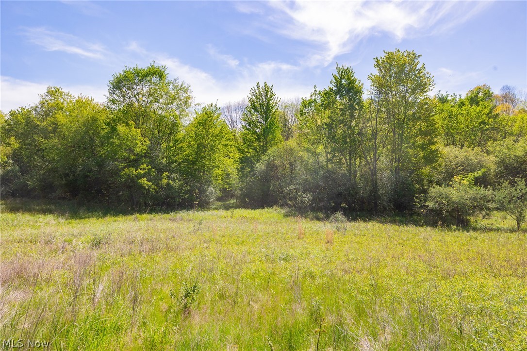 11154 Shetler Avenue SW Bolivar OH 44612