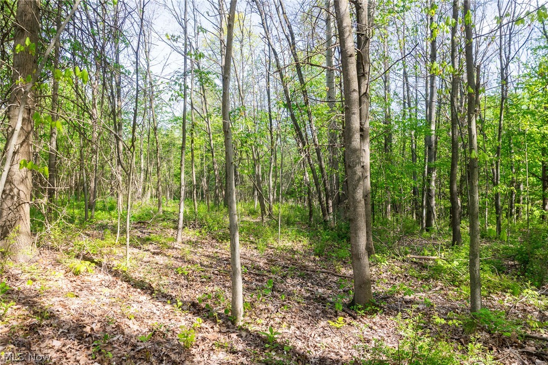 11154 Shetler Avenue SW Bolivar OH 44612
