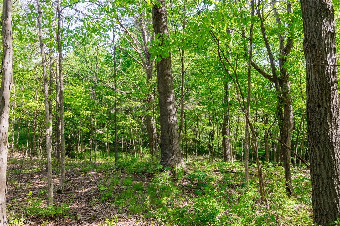 11154 Shetler Avenue SW Bolivar OH 44612